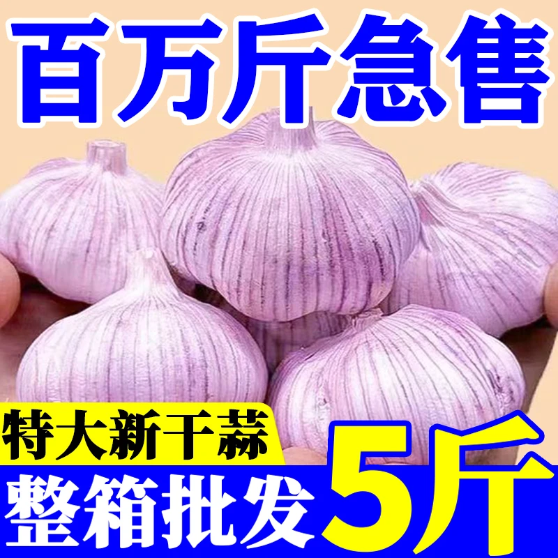 【助农产品】正宗紫白皮干大蒜农家大蒜头清仓批发商用便宜 新干蒜