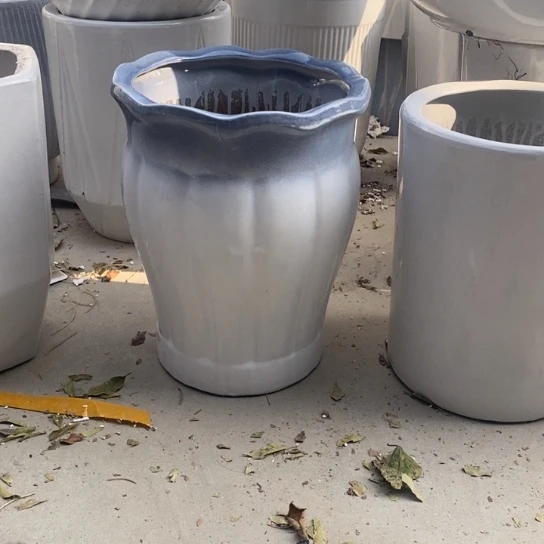 渐变灰花口南瓜中口25高32福利