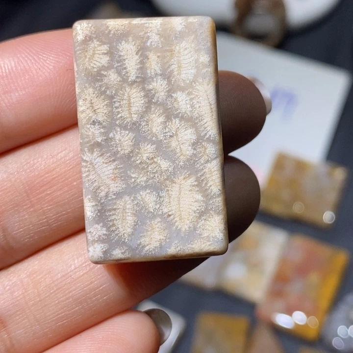 【闪购商品】未镶嵌珊瑚玉硅化玉