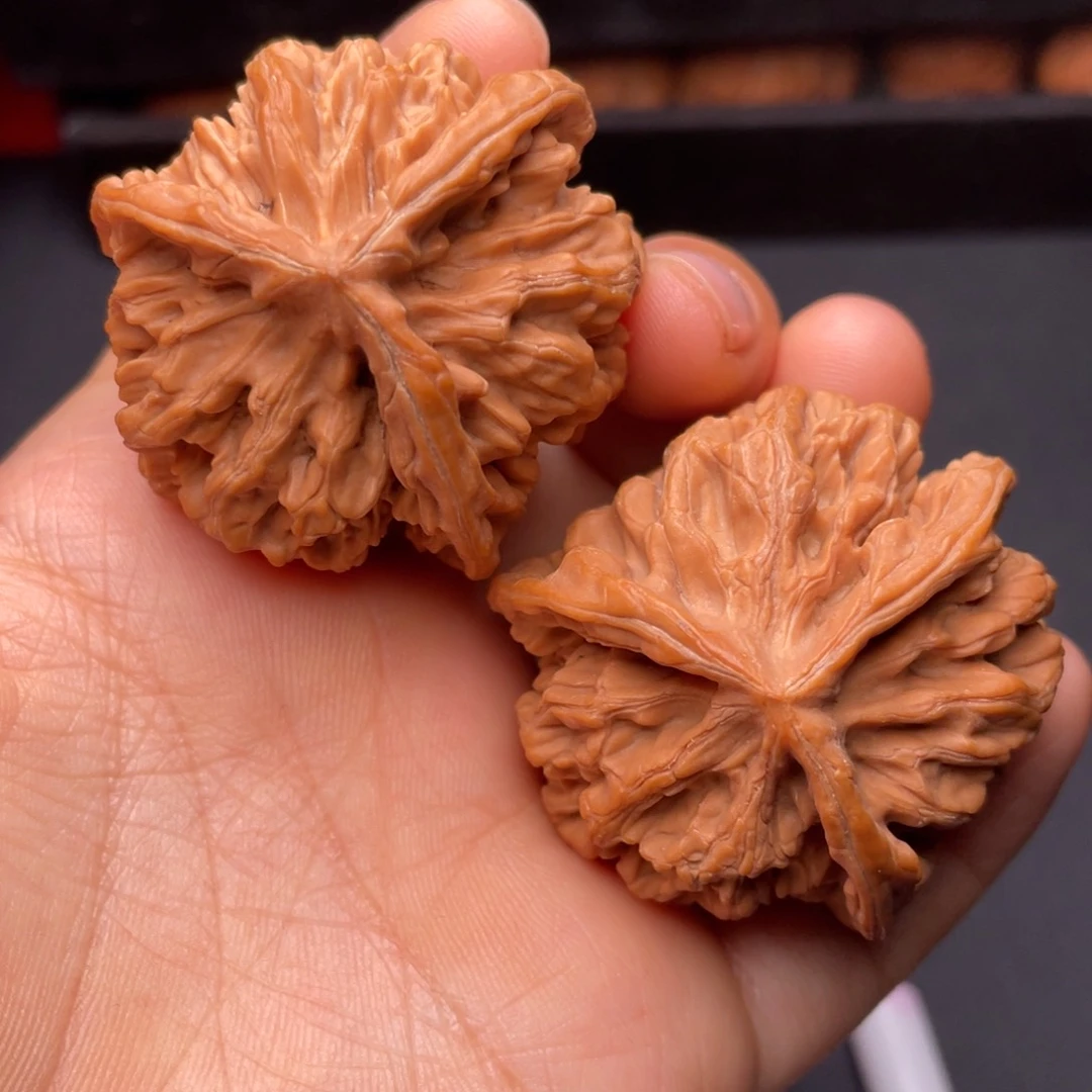 秦岭山脉文玩核桃