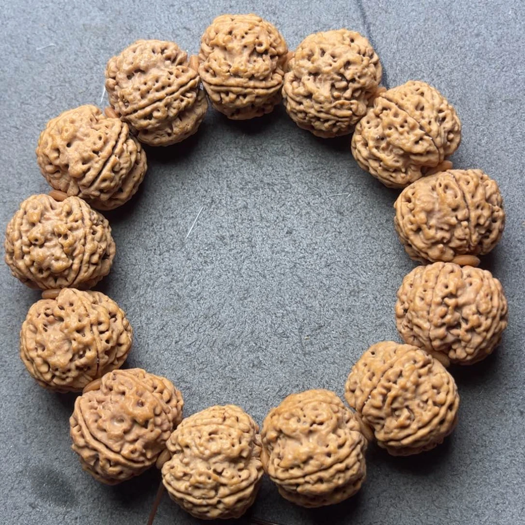 菩提7号金刚菩提原生态双龙梅花23