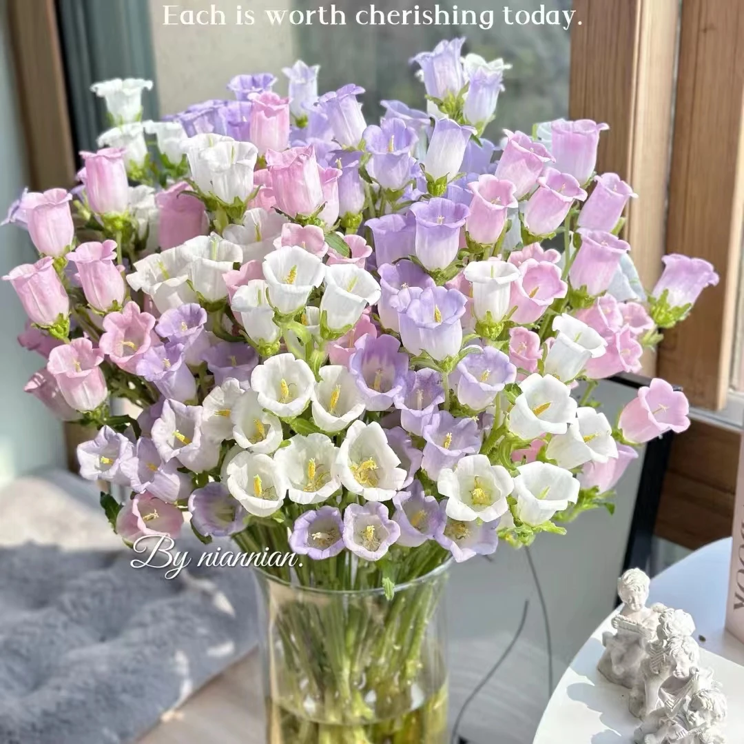 【风铃花600克（11~15枝）】1单中通包邮2单升级顺丰冷链-云南鲜花