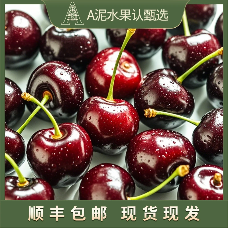 智利海运黑车桑提娜J-4J 车厘子5斤【顺丰包邮】 内附果径卡
