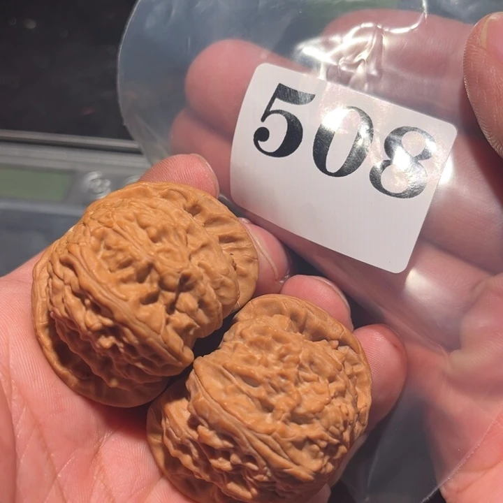 核桃11111111111111111