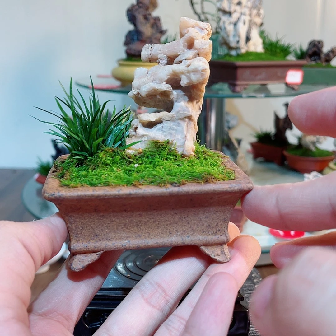 完全开放000000029