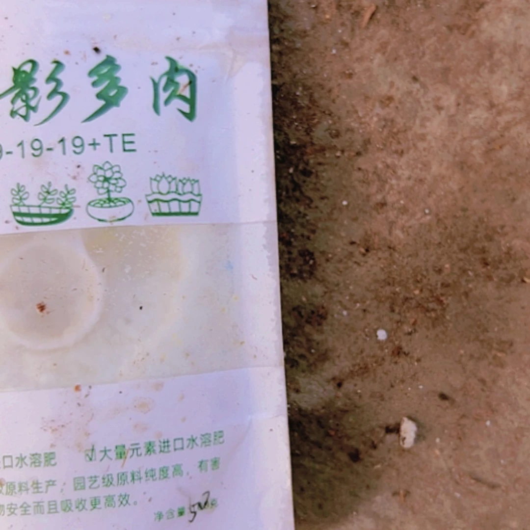 【闪购商品】实验包2包