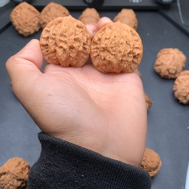 二***二大叶紫檀（黑酸枝木类）