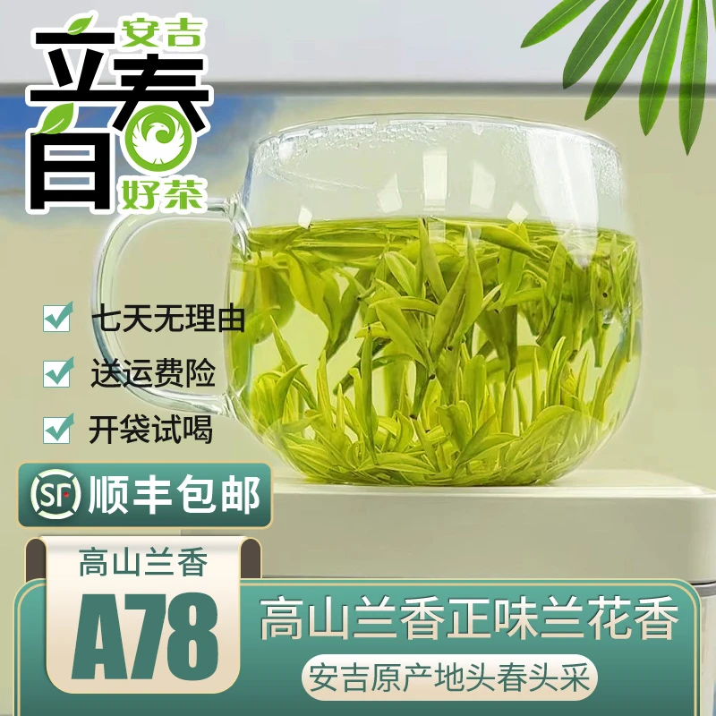 【2025高山兰香A78】安吉原产地白茶高山极白