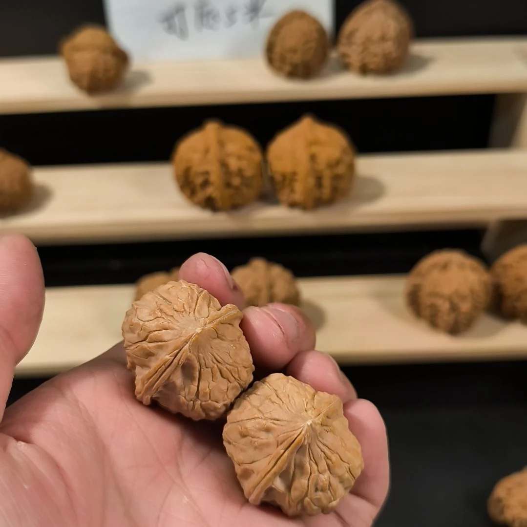 吊坠文玩核桃31龟甲