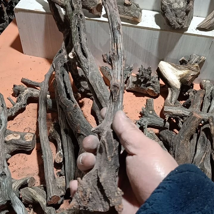 ᝰ****ꪊ火琉璃黑棍子