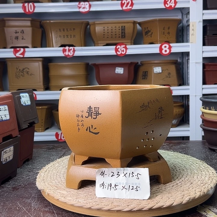 花盆紫砂蛇年大吉