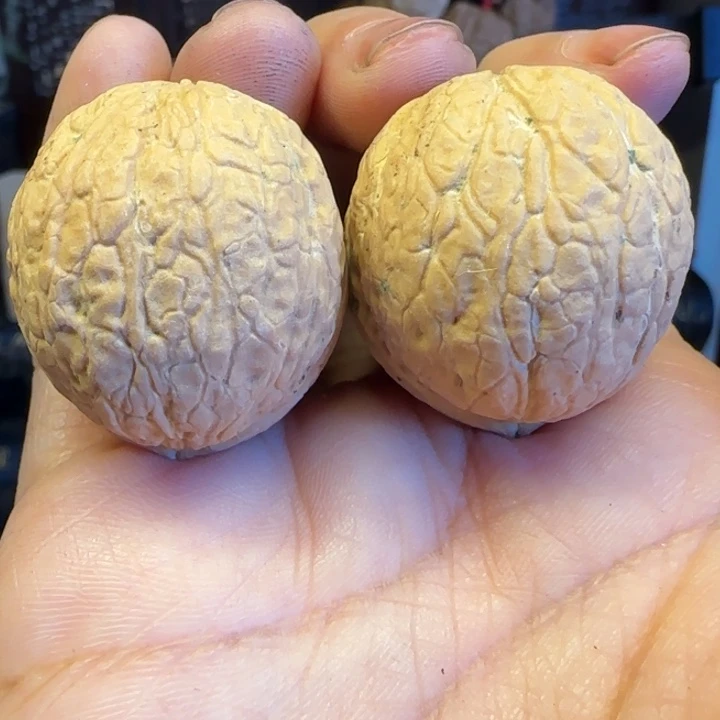 吊坠文玩核桃蛇皮球1