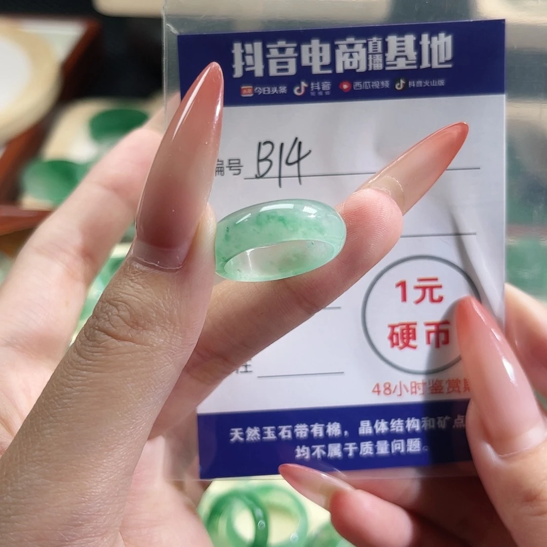 石英质玉未镶嵌颈饰