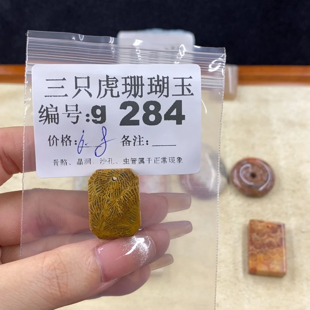 硅化珊瑚（珊瑚玉）未镶嵌1M****l