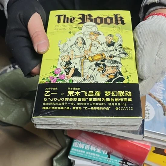 THE BOOK平装库存书没刷边