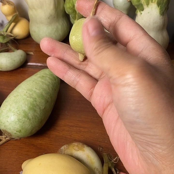 蜡***新青皮葫芦手把件摆件
