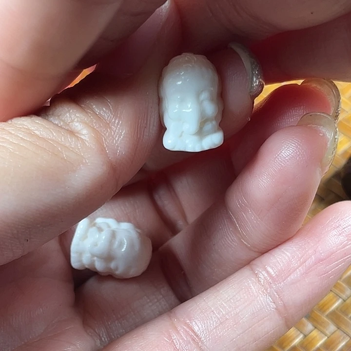 鹿骨其他驼骨驼骨驼骨73