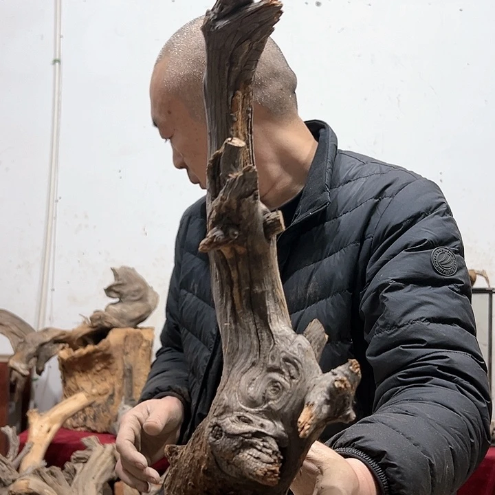 柏木弓**就我们的生活也会越来越美好