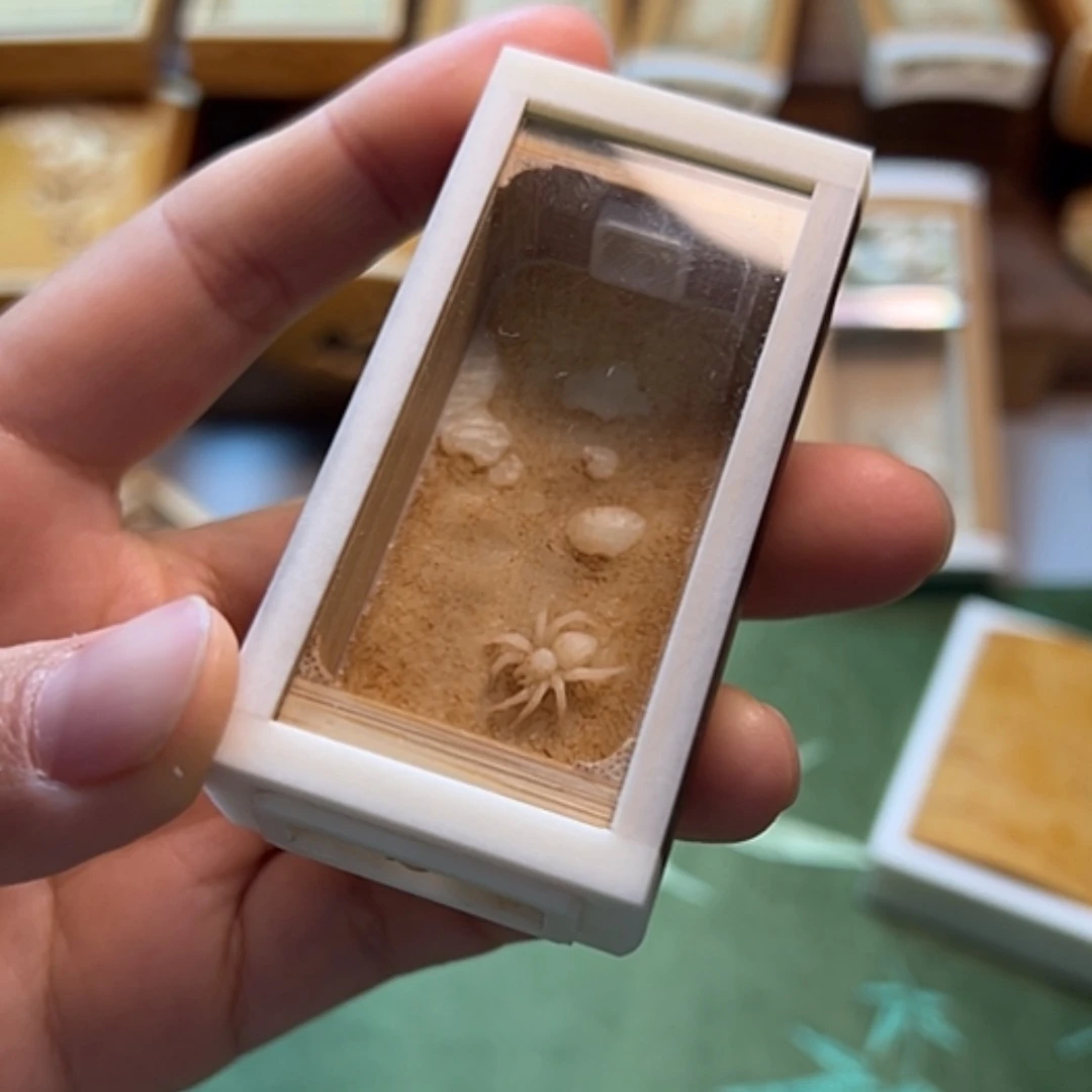 【闪购商品】竹雕牛骨竹蛉