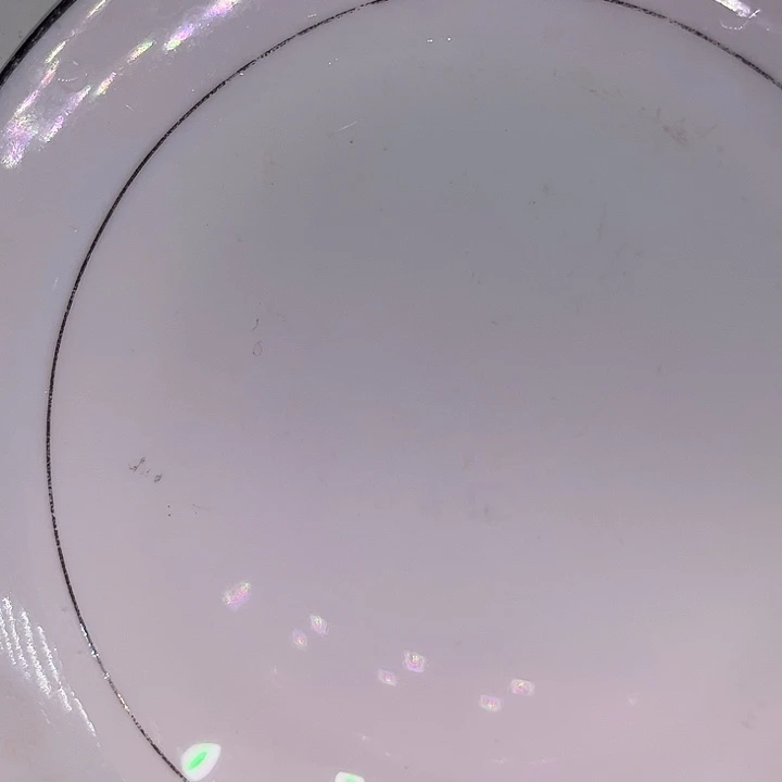 乒****海水鱼迷你鹦鹉鱼