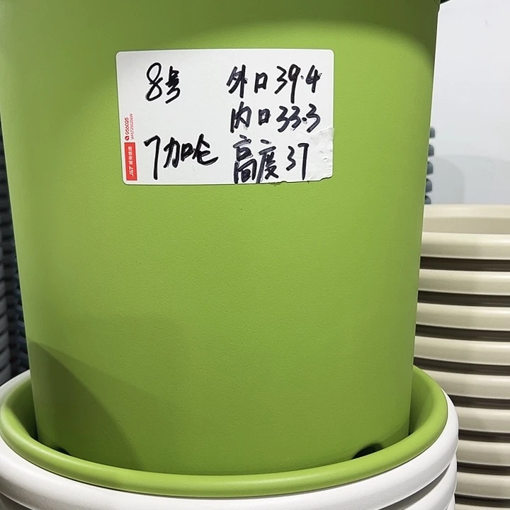 特价8号口39高37白色5只无托