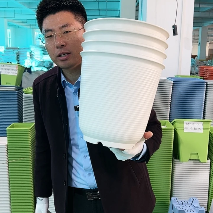 正品高陶口27高27白色4只无托