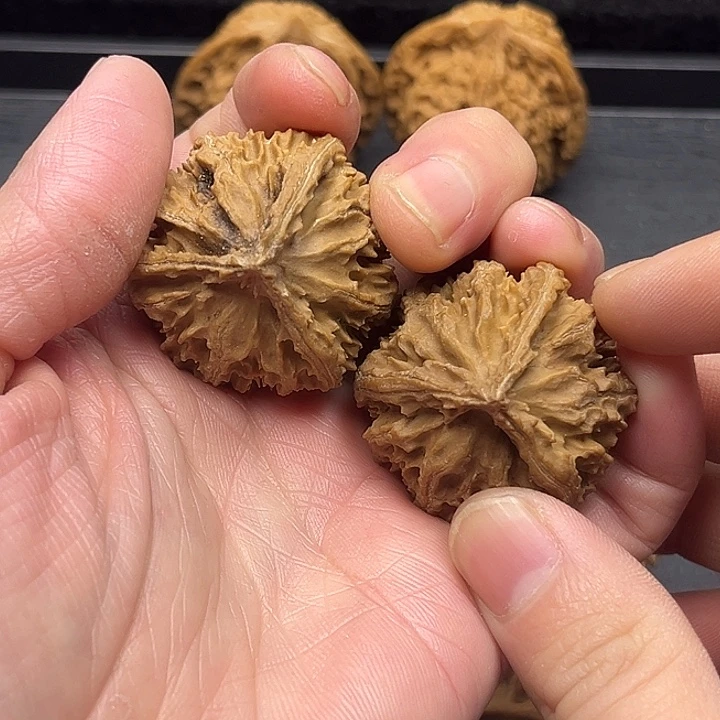 木质类秦岭突突突突突突