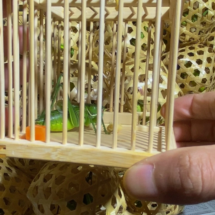 野生绿蝈蝈加竹笼包活叫
