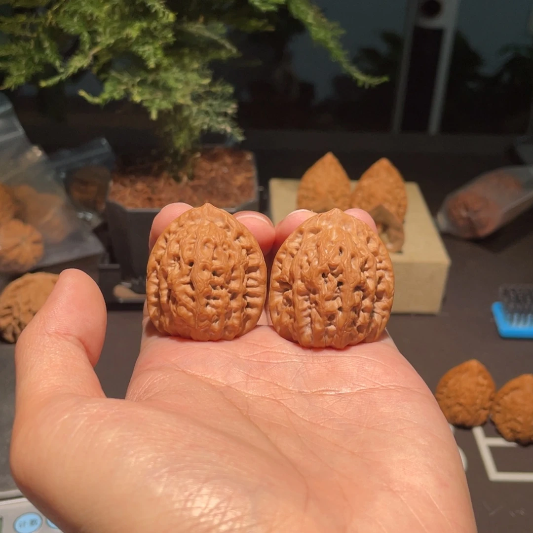 文玩核桃把件识**心佛肚