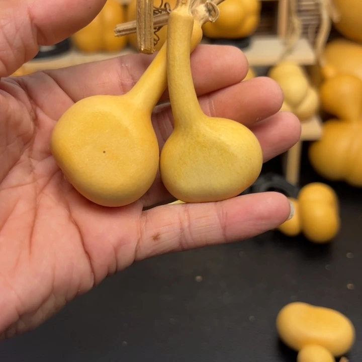 Q***q15555588999966998