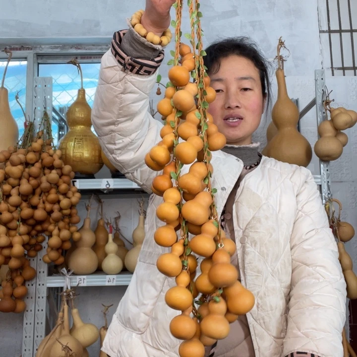 道***然天然植物葫芦文玩