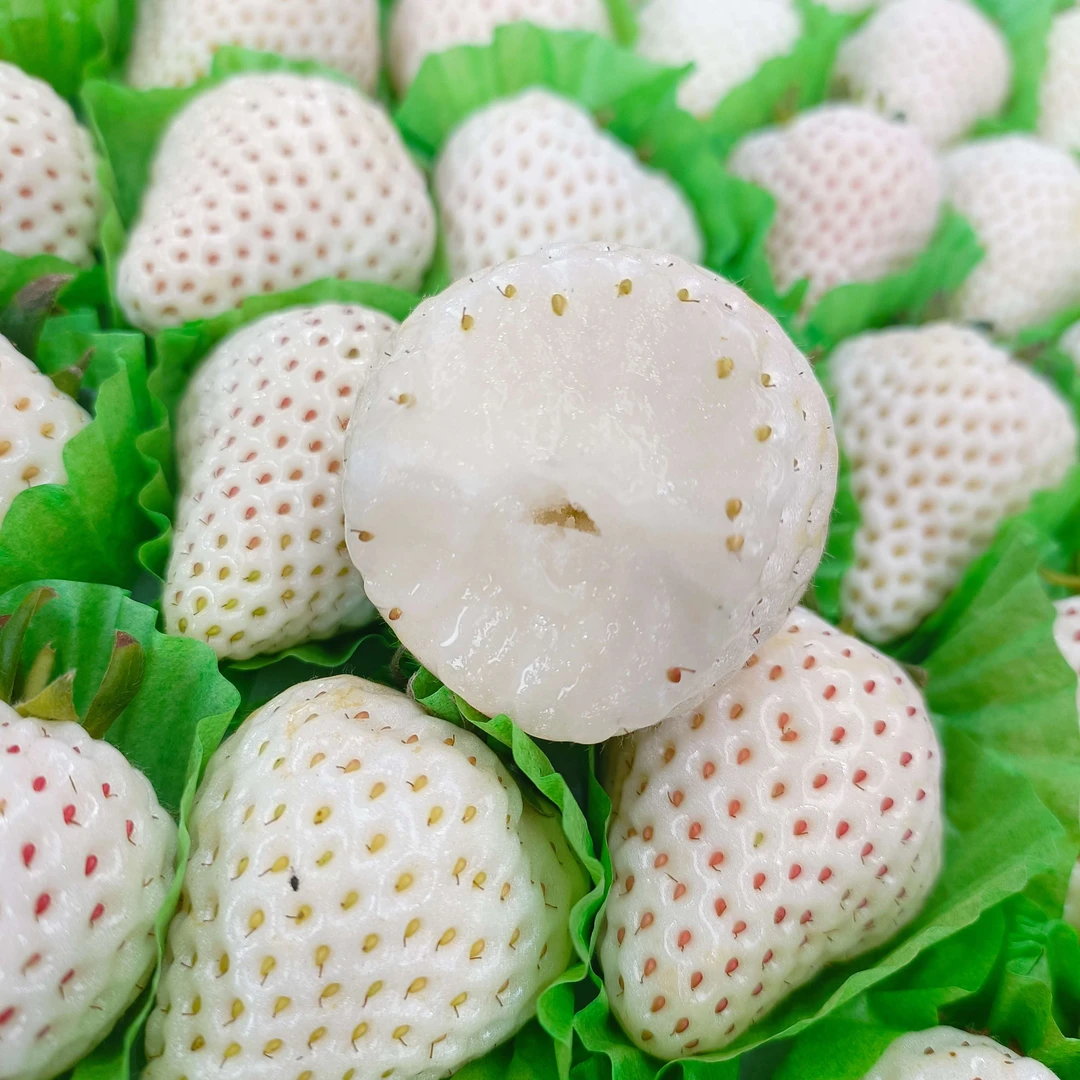 白雪公主草莓白草莓（仅限长春同城）