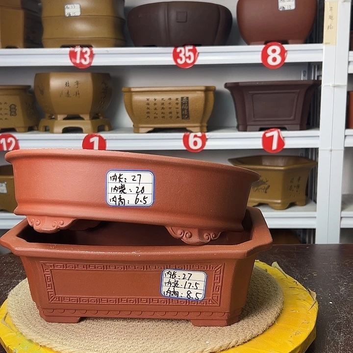 花盆紫砂你在一起