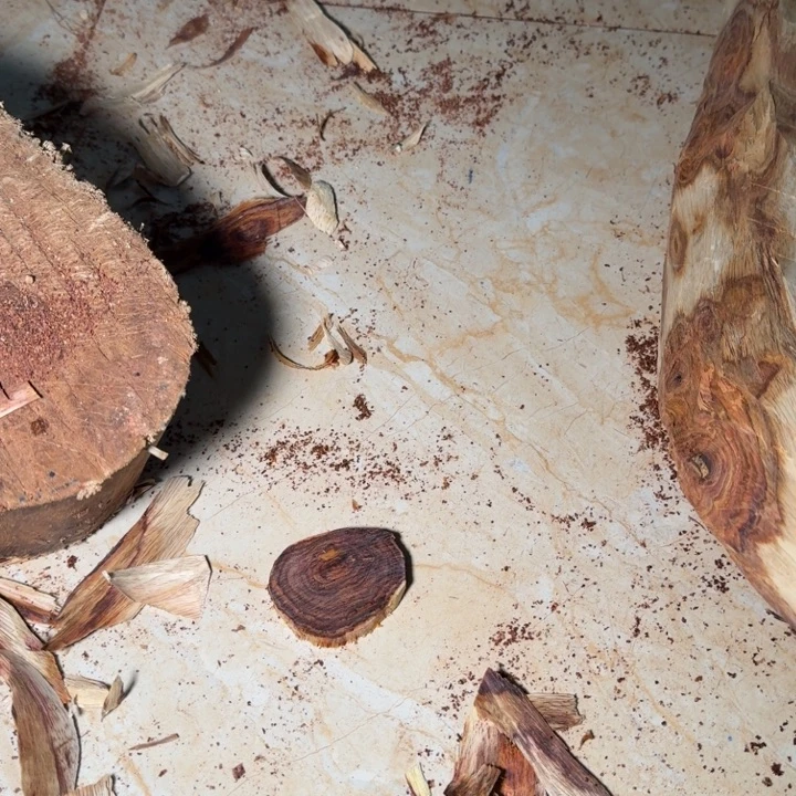 灿***哥木海南，海北飞灰尘。甘受商于仪诳楚