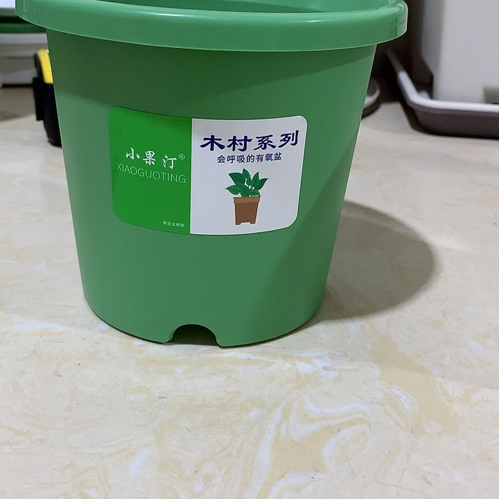 四季口15绿10个无托