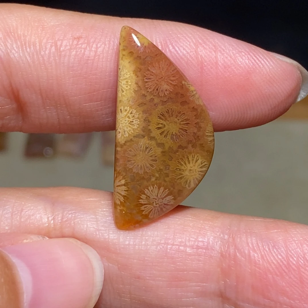 【闪购商品】硅化玉珊瑚玉未镶嵌