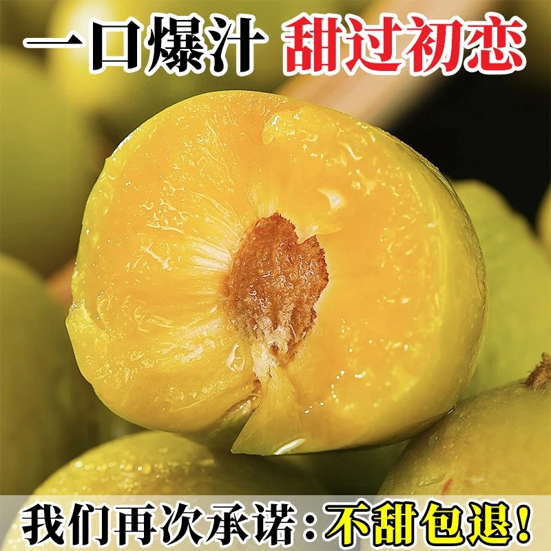 正宗贵州六马蜂糖李新鲜现摘甜爽脆脱骨李子水果礼盒包装