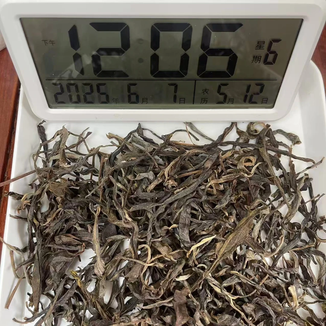 云南姑娘的茶  2024梅子箐古树 100克/散茶 云南普洱茶生茶