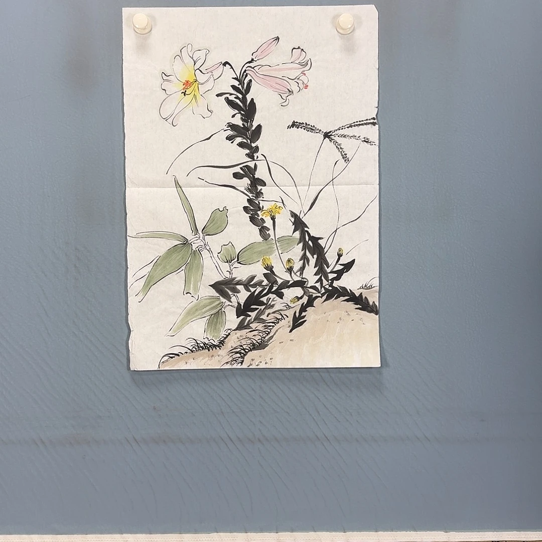 国画392 牡丹一如你初