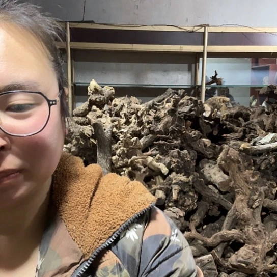 香榧木凉火琉璃的毛料摆件