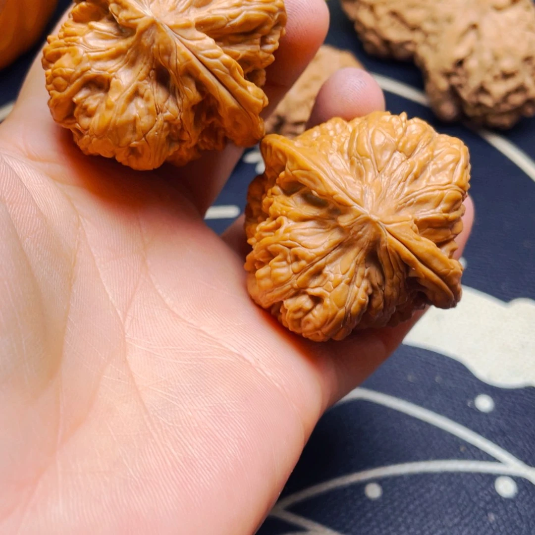 文玩核桃把件元****官金蟾王