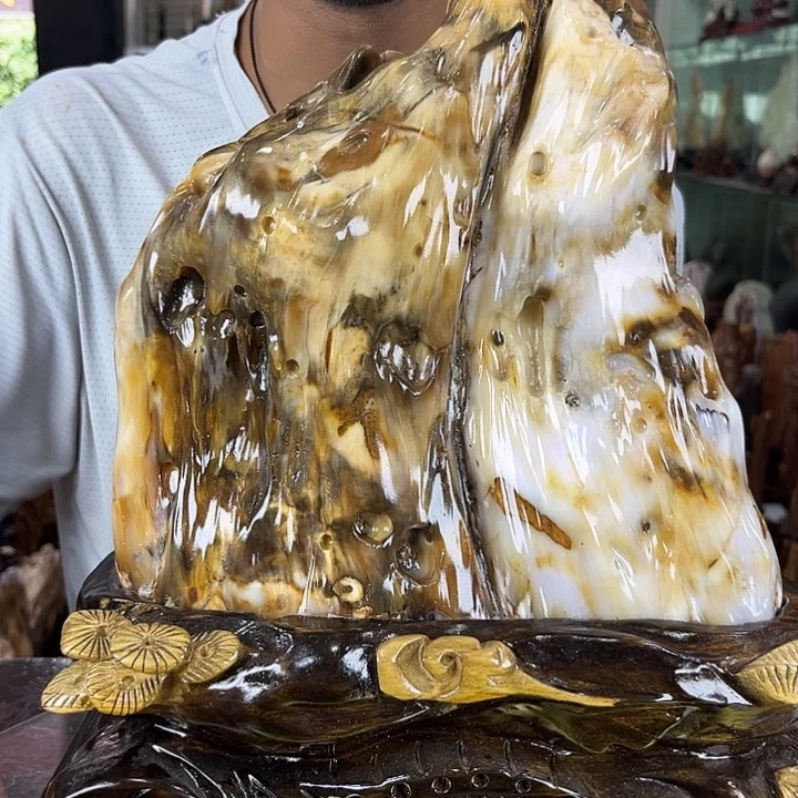 硅化玉珠宝奇石未镶嵌