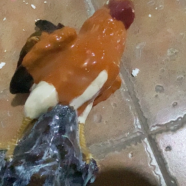 衣***）瓷片zczcvghgjhhgggfghfgg