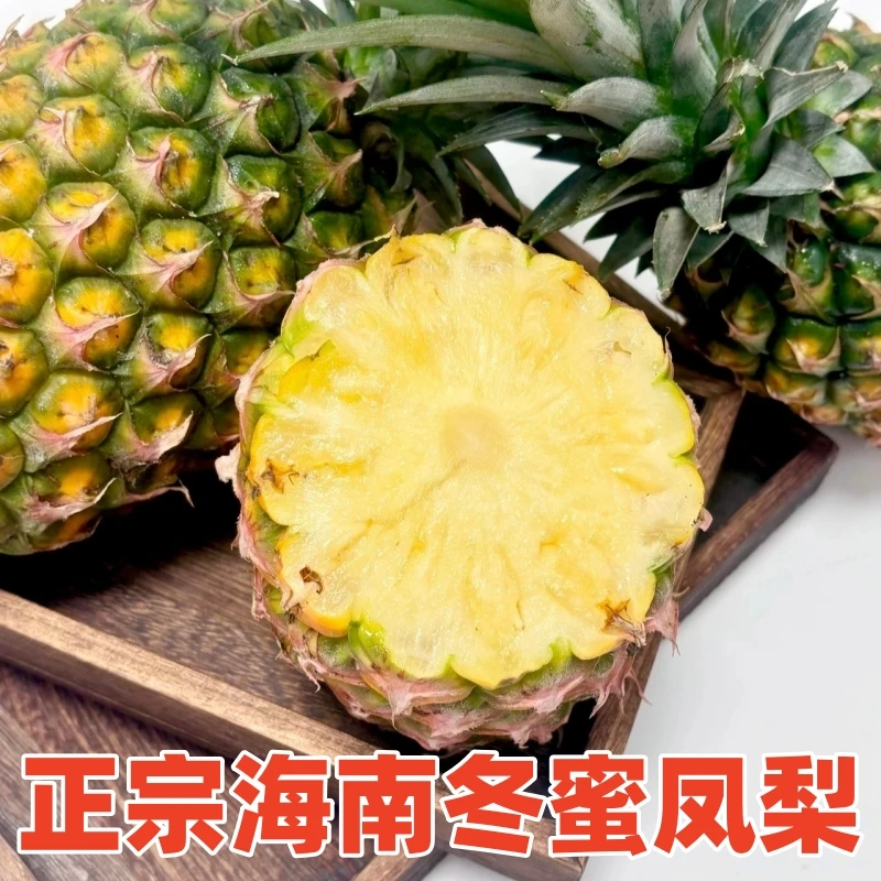 【顺丰送货上门】海南三亚冬蜜凤梨树熟现摘甜嫩多汁孕妇新鲜应季