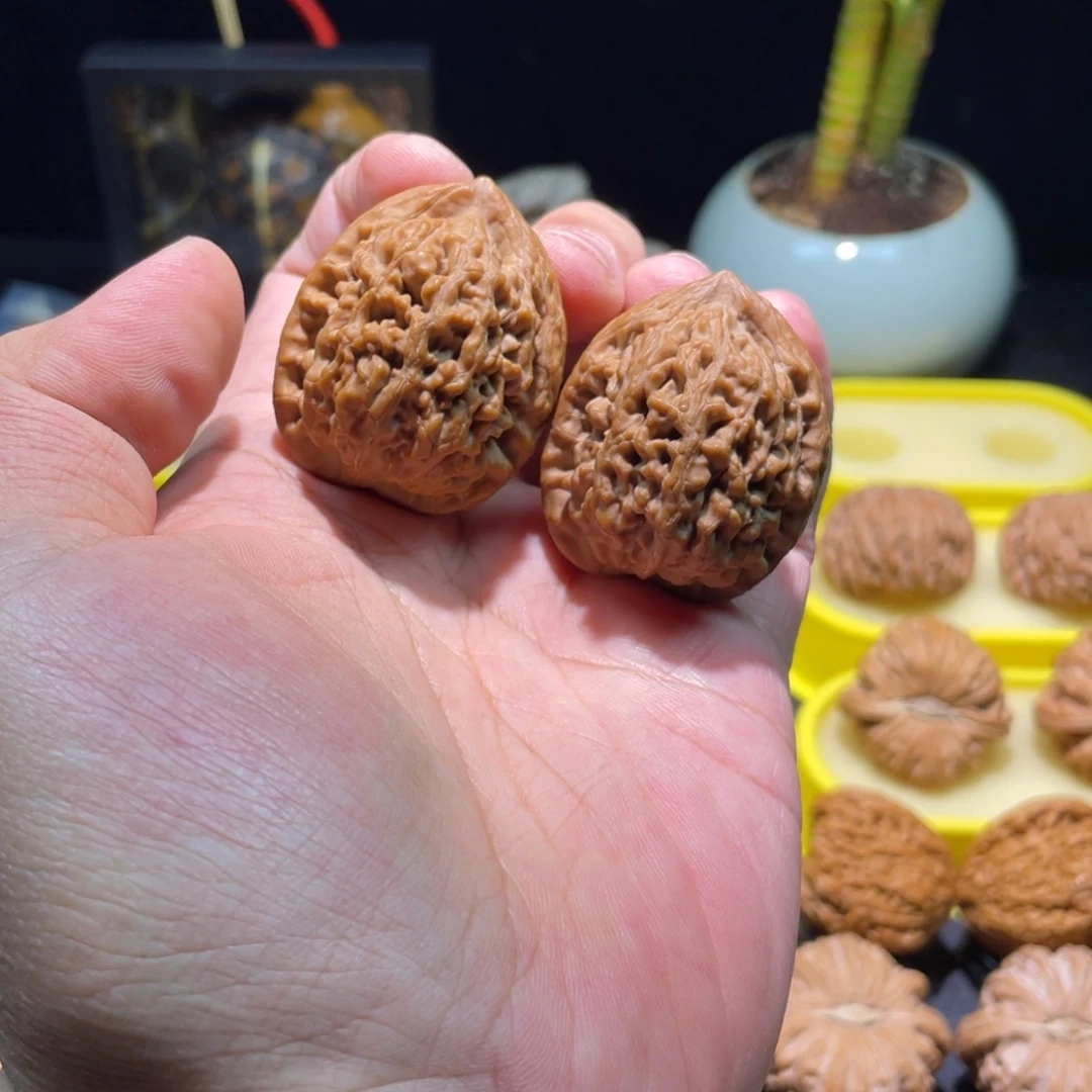 把件文玩核桃36全品红皮满肉老款小众蚂蚁王