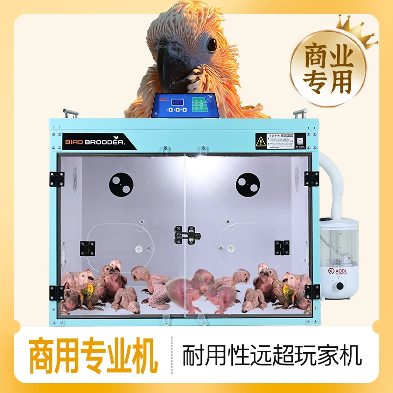 鹦鹉幼鸟专用育雏保温箱玄凤牡丹雏鸟恒温急救中号AODL63鹦鹉笼子