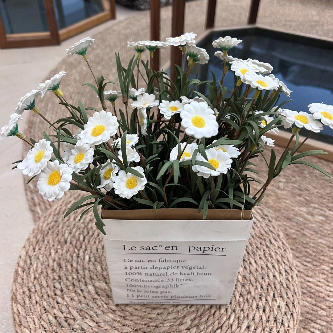 【新人开播专享福利】   小雏菊5把+纸袋花器