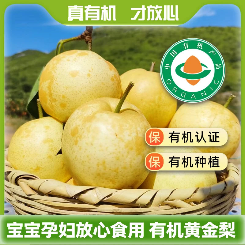 博望【有机黄金梨】无农残 多汁鲜甜水果 果园基地 产地直发