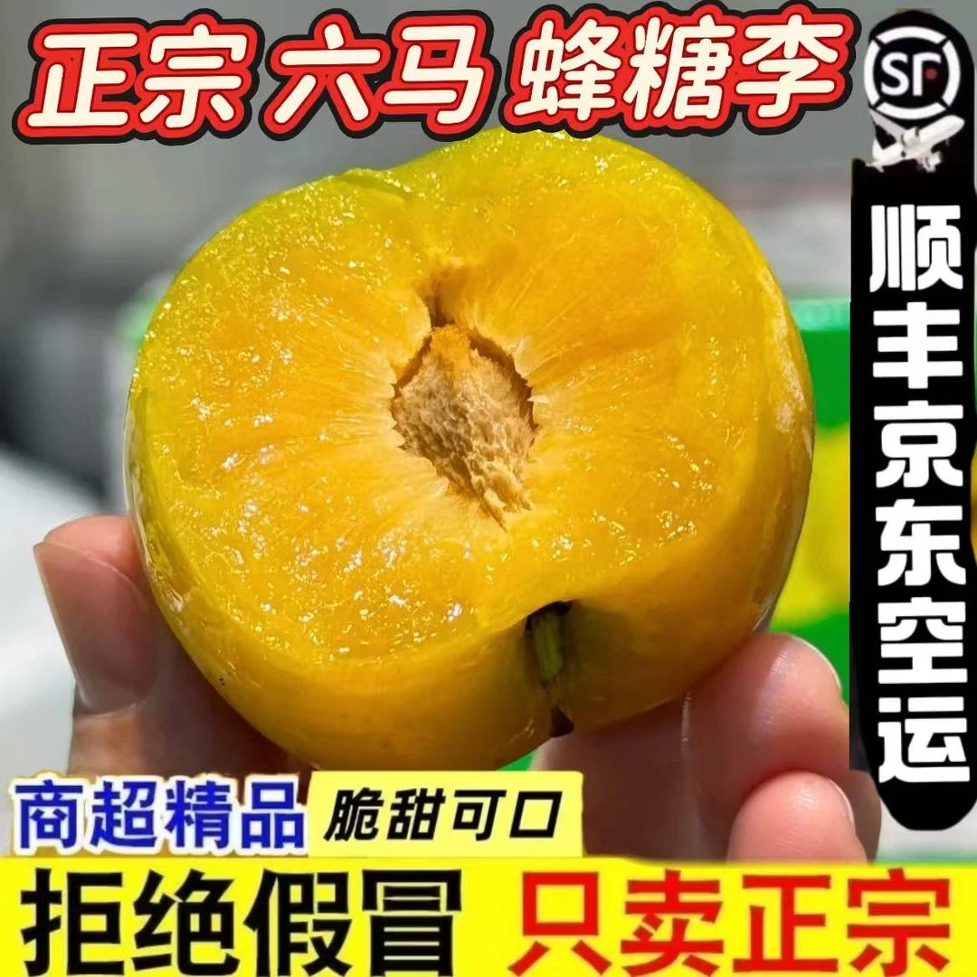 六马直发正宗贵州蜂糖李水果脆甜蜂蜜李镇宁蜂糖李甜如蜜