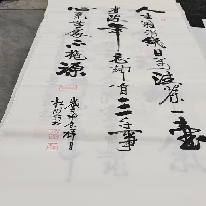 翰墨杜胜轩老师作品一副